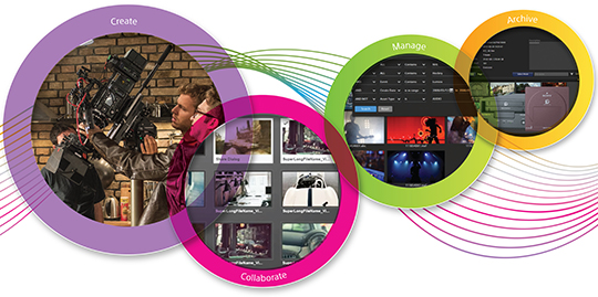 Sony Next-Gen Workflow Graphic